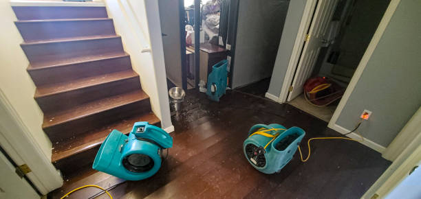 Best Fire Damage Restoration  in Panther Valley, NJ