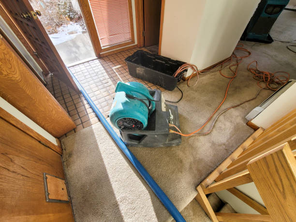 Best 24/7 water damage repair  in Panther Valley, NJ