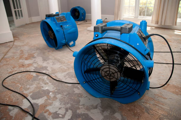 Best Professional water damage repair  in Panther Valley, NJ