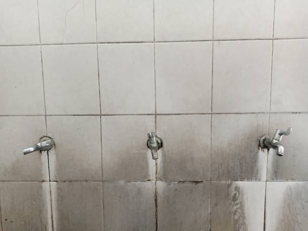 Best Carpet water damage restoration  in Panther Valley, NJ