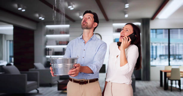 Best Water damage restoration near me  in Panther Valley, NJ